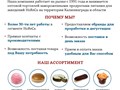 Фото компании ООО "Ленком" ТД «Питер-Кёльн» 1