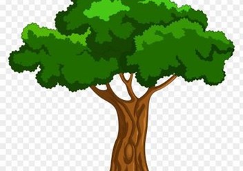 Фото компании  Деревья Калининграда 1