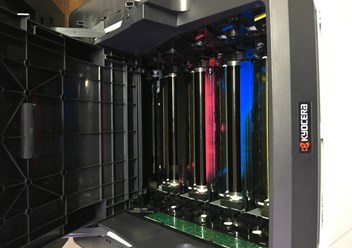 Фото компании ООО Семь Цветов 3