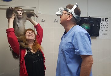 Фото компании  Центр ветеринарной офтальмологии доктора Шилкина А.Г. на ул. Островитянова 2