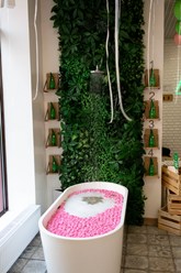 Фото компании  ALOE smart 22