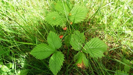 Фото компании ИП Гостевой дом Понарт 5