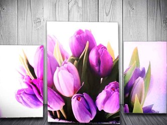 Фото компании ООО «Пальмира» 16