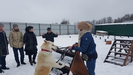 Фото компании ООО Аккорд 2
