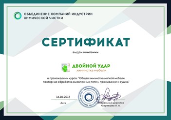 Компания "Двойной удар" прошла курс: "Общая химчистка мягкой мебели, повторная обработка выявленных пятен, промывание и сушка" в Объединении компаний индустрии химической чистки