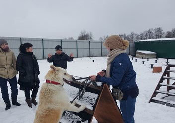 Фото компании ООО Аккорд 2