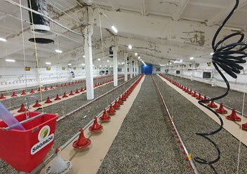 Оснащаем промышленные птичники оборудованием "Под ключ"