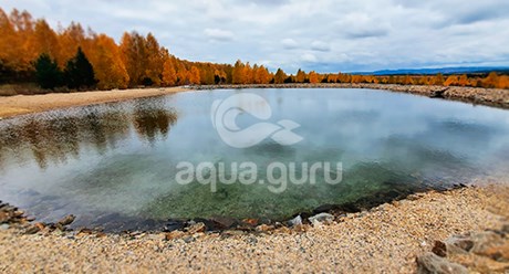 Фото компании  Аквагуру 2