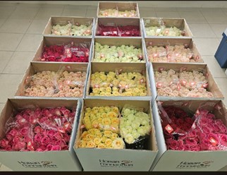 Фото компании ИП ЦветоБар 13