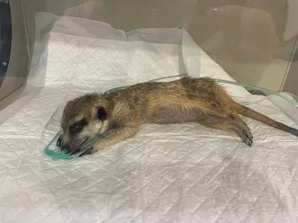 Фото компании  «Искра жизни» 10