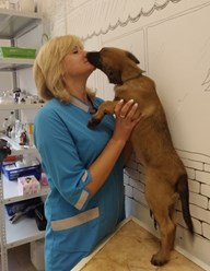 Фото компании  КОТиКо 6