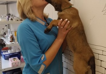 Фото компании  КОТиКо 6