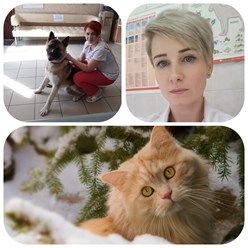 Фото компании ООО Кабинет ветеринарной медицины 33