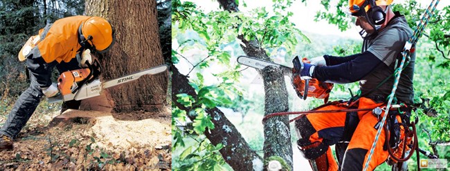 Предоставим услуги по спилу старых или мешающих деревьев, осуществляем обрезку веток, корчевание деревьев, кустарника.