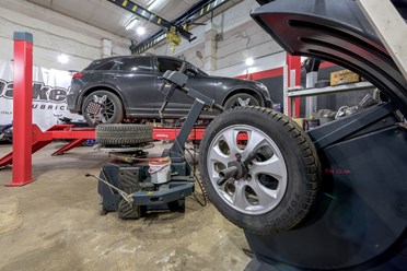 Фото компании  BlackBelt 9