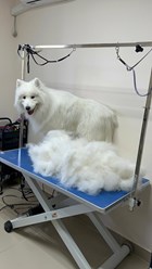 Фото компании  ZooMeister 8