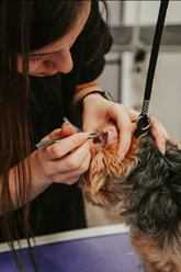 Фото компании  UrbanDog 23