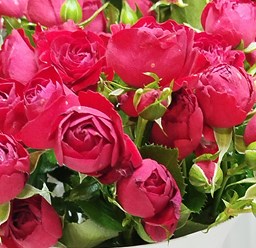 Фото компании  Без посредников 96 9