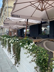Фото компании  В цветах 62