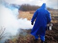 Фото компании  Дезинфектор Красный Жук 1