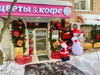 Новогодняя входная группа