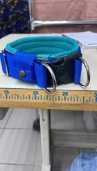 Фото компании Самозанятый Пес в пальто 64