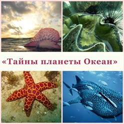 Фото компании ООО Севастопольский морской Аквариум-музей 10
