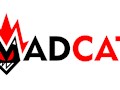 Фото компании  MadCat 1