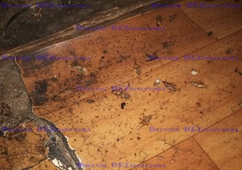 Фото компании  ДезГород Тольятти 5