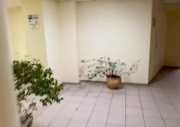 Фото компании  Clean & Debut 5