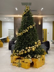 Фото компании  В цветах 41