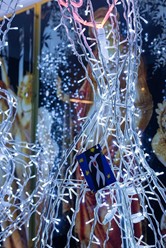 Фото компании  ЛЮБЛЮ: LED. WINE. LOVE`S 26