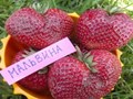 Фото компании ООО Заур и К 6