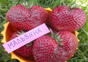 Фото компании ООО Заур и К 6
