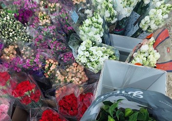 Фото компании  Рынокцветов 1