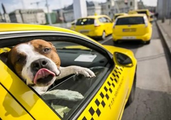 Такси X0 в Рузе и Рузском районе