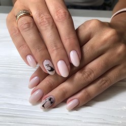 Фото компании  NAILS 70