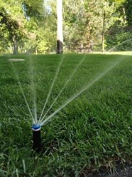 Устройство автоматического полива