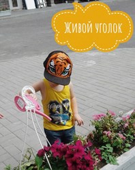 Фото компании  Детский сад "Bambini - Club" Пушкино 18