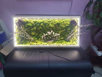 Картина из стабилизированного мха
 Размер 1х0,5м 20000р.
Под заказ.