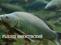 Фото компании ОАО Рыбхоз Никитовский 1