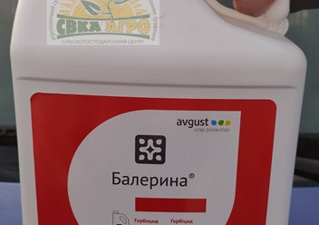 Балерина