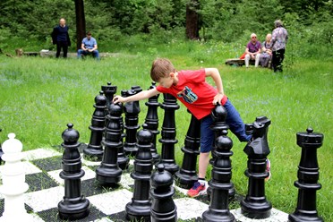 Фото компании  Любители шахмат 10