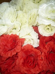 Фото компании  55опторг 22