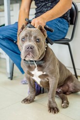 Фото компании  Био-Вет Калужская 14