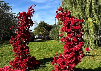 Фото компании  В цветах 6