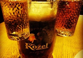Фото компании  Козловица 2