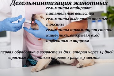 Фото компании ООО Белый Бим 9