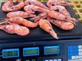 Фото компании ООО "Торговый дом Дальневосточный" 3
