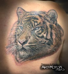 Фото компании  ArtinMotion 7